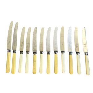 Frank & Co Sheffield England Reliance Knives Stanless Steel Cutlery Celluloid